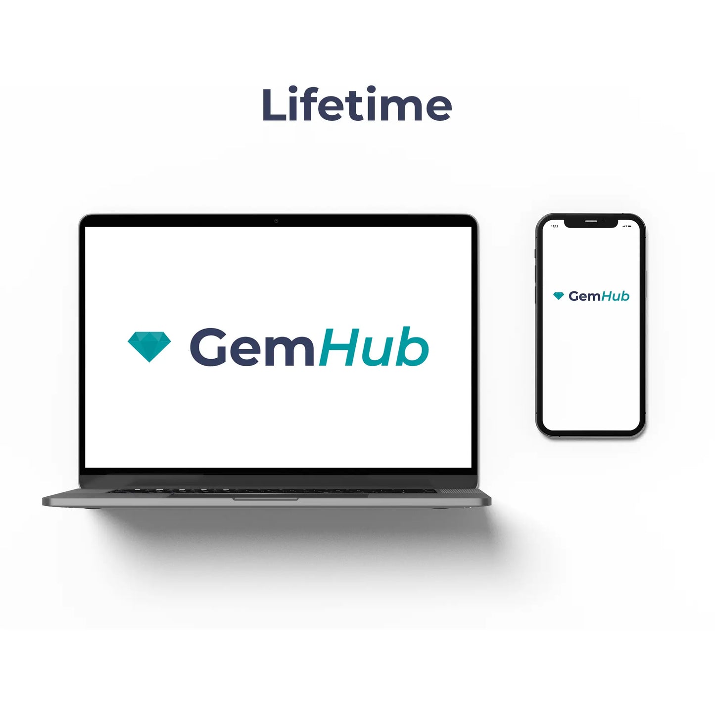 GemHub Lifetime Subscription